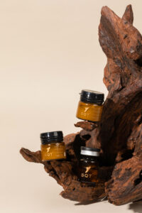 Начална Страница